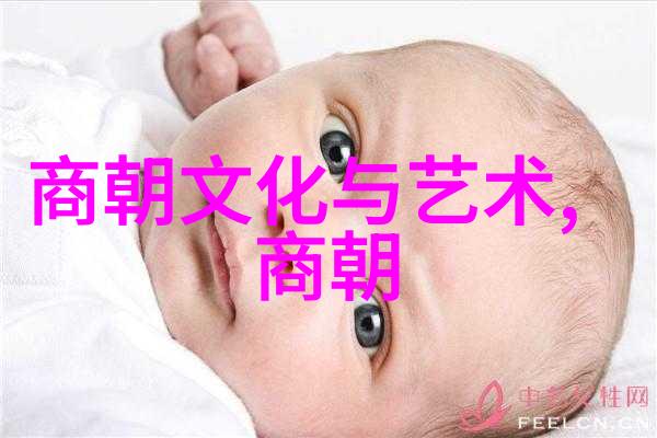 明朝那些事儿百度云锦绣河山下的秘密花园