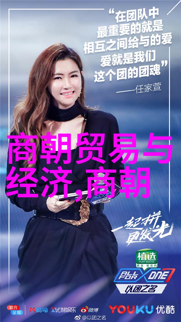 经典豫剧100首孔莹的票友之声