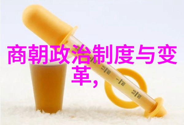 元明易主隐含何种历史意义解读两代对比研究