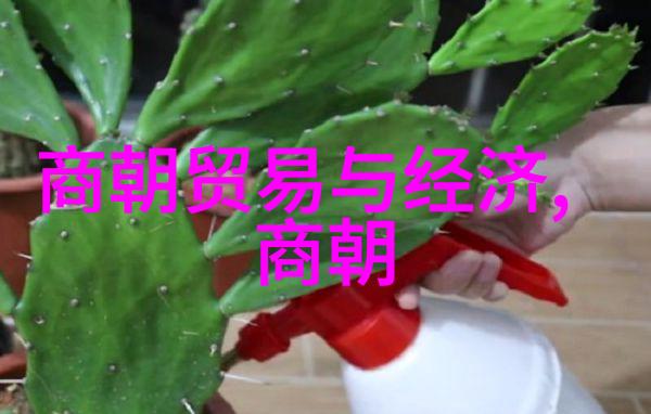 如何看待明朝的文化与艺术成就