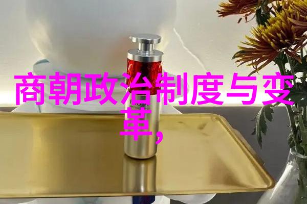 宋朝奇缘录紫禁城里的猫儿王子