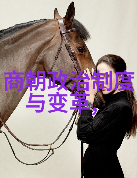 明星测字刘伯温的天赋与传奇