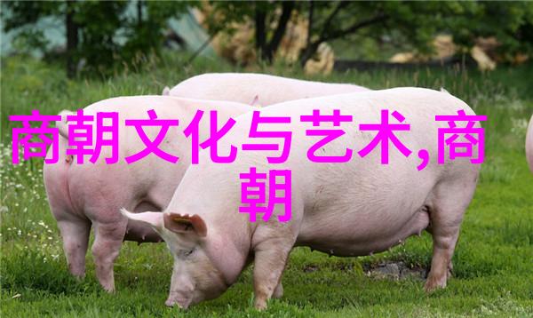 明朝的阴影与光辉诡谲的历史篇章