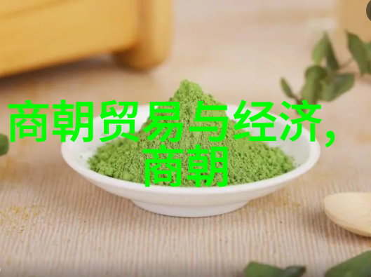 我国将建造国际月球科研站做有温度的人工智能助力探索