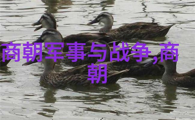 战国四大名将中的阴阳八盘掌刘乐民的故事你知道吗