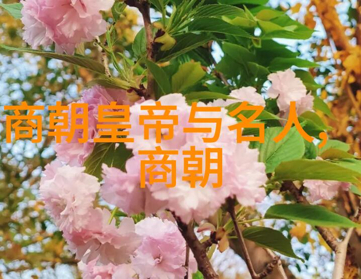 李源是全真龙门派的二十四代传人吗