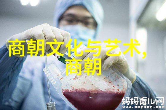 李自成农民起义领袖的政治理想与实践