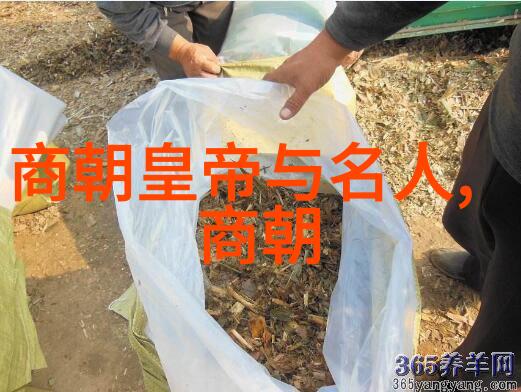 李白杜甫与唐诗之美宋词研究