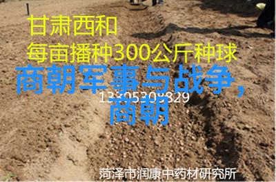 我是歌手2013的旋律之星点亮你的夜晚