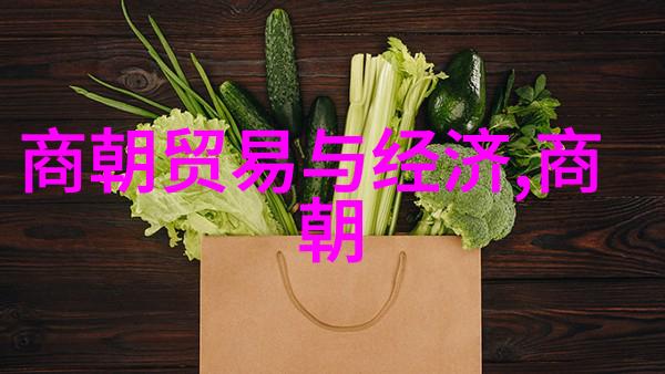 我国历史朝代聊聊那些年我们祖先的辉煌与变迁