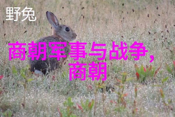 古韵绕梁青玉案中的离愁别恨
