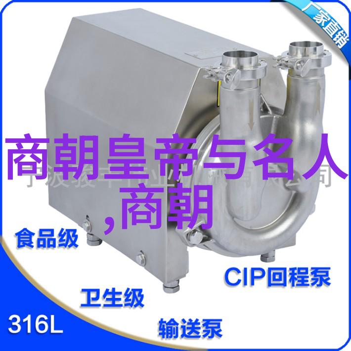 隋代十六王公的历史足迹