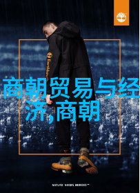 杨基元代四大名人之谜1326年生于历史的篇章1378年离去留下千古传唱的名字与神秘面纱