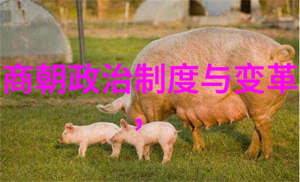 赵媛媛黄梅戏旦行演员黄梅戏女驸马选段