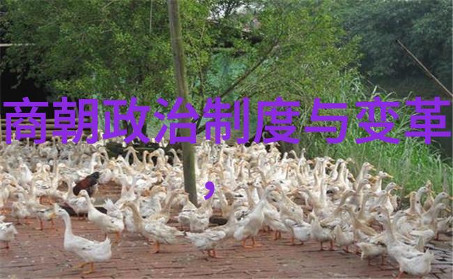东晋末年与南北朝的转折