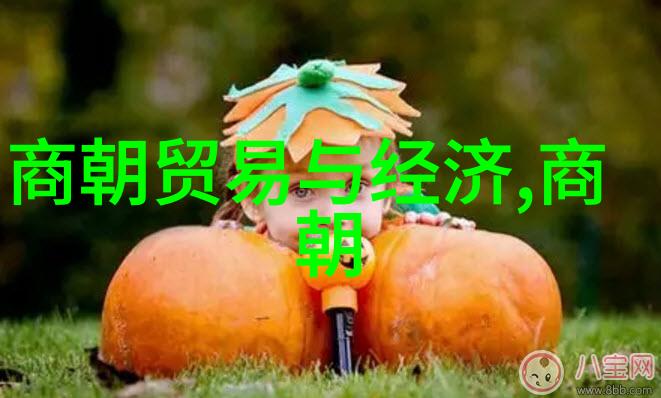 宗教信仰变迁天地宗黄教等在南明时期的地位影响
