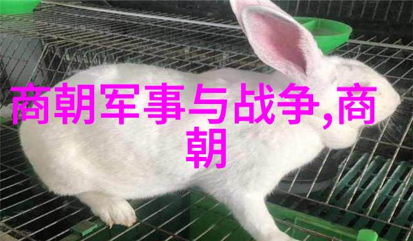 元代对外扩张的战略是什么