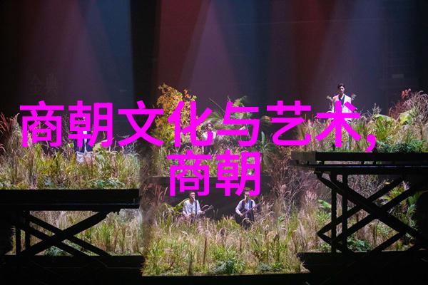 近年来西方汉学清史研究若干范式清朝文化艺术的绘卷