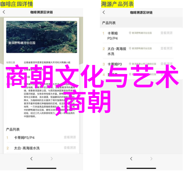 赵鑫洲宋金刚之于海洋中闪耀的星辰