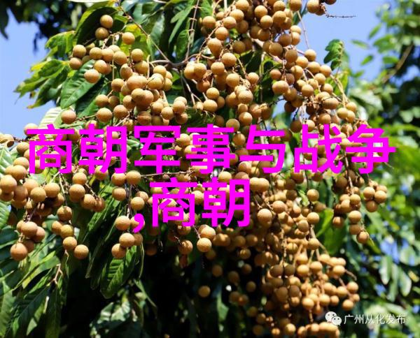 夏颜石磊穿越小说古风奇缘逆袭时空夏颜石磊的穿梭记