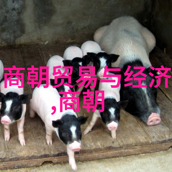 碧血黄土元朝历史的长河