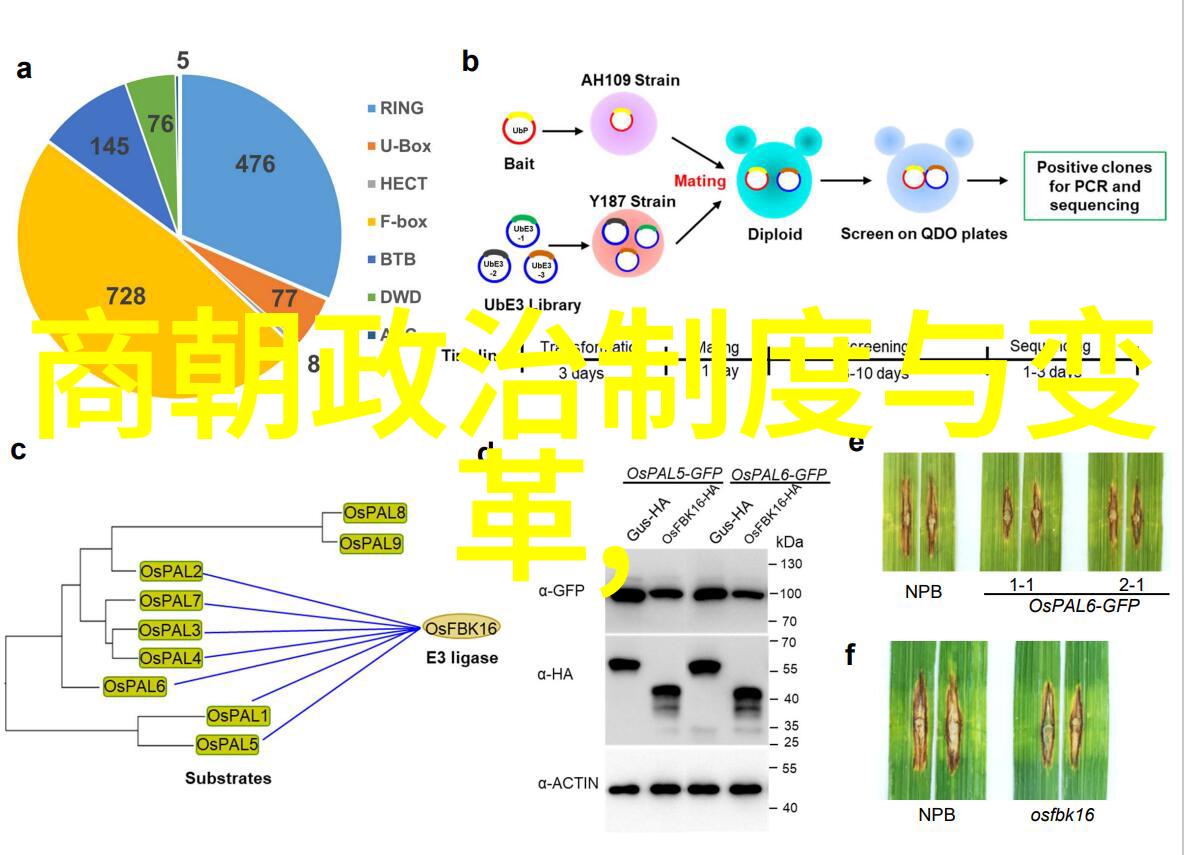 24朝代顺序表口诀历史时期的知识点