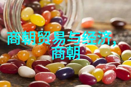 历史探究-明朝的巅峰与衰落1590年的帝国之梦