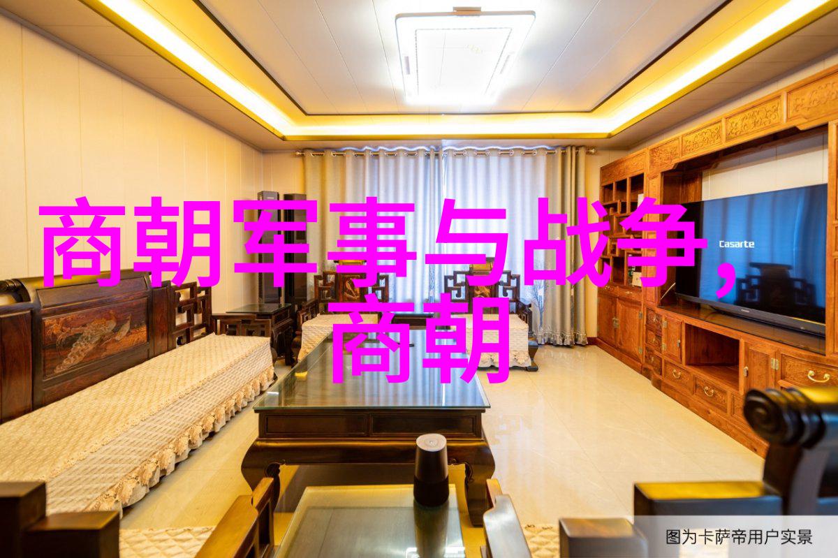 历史探究-元朝征服与文化融合外族入侵还是政治统一