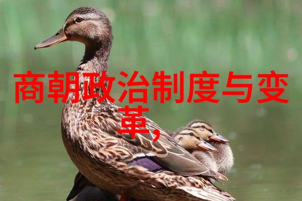 最不应该灭亡的朝代我觉得唐朝真是太值得继续了