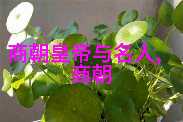 孙樵少儿国学大师能教会孩子们什么