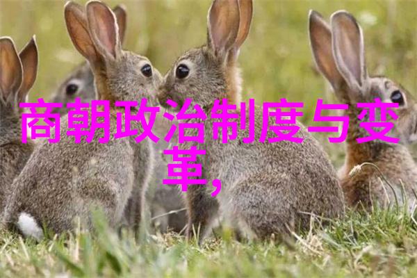 仝婷在社会舞台上带来黄梅戏张辉的精彩演绎仝婷作为一名黄梅戏旦行演员以其独特的表演风格和深厚的艺术功底
