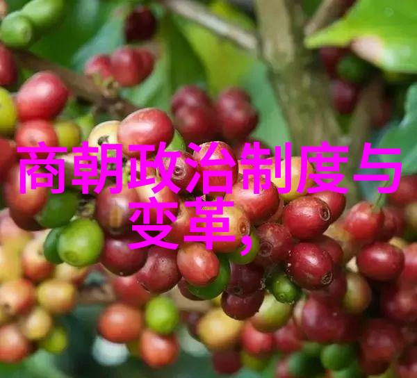 偷情背后的痛苦婚姻关系的阴影与家庭破裂