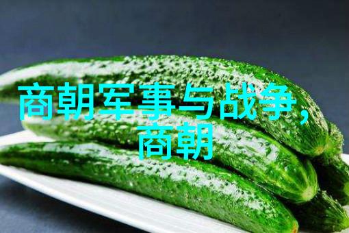 乾隆帝与十三叔的矛盾一段历史上的恩怨情仇