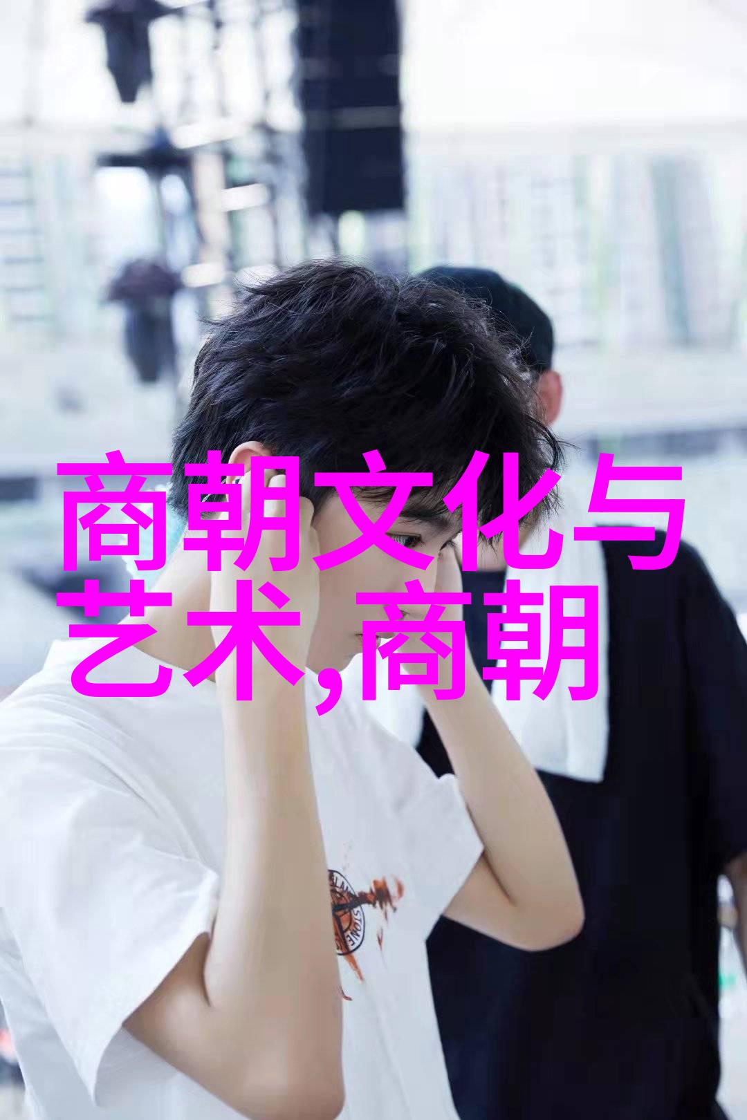 大明王朝映射 问题-明代政治与文化的映射难题探索历史真相与现代误解
