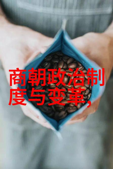 清军入关前的中国局势与明末十余个年间之变革影响力探讨