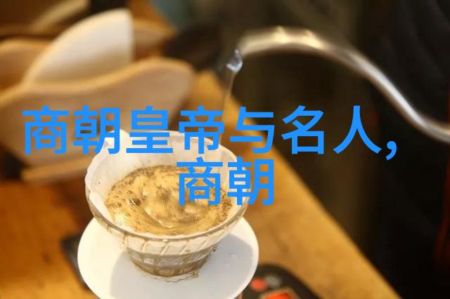 明朝历史讲解视频揭秘明朝风华从朱元璋到崇祯的辉煌与衰落