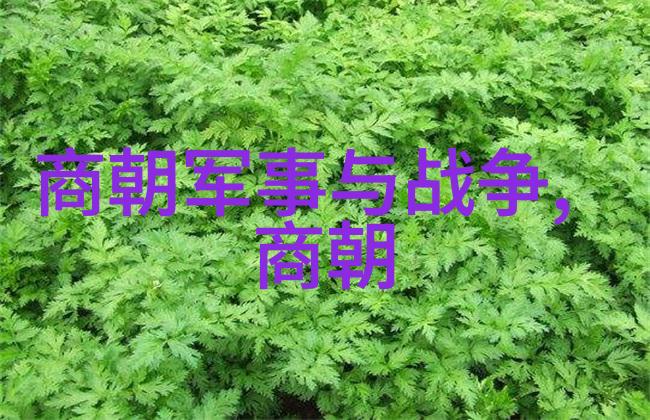 乾隆与雍正的矛盾权力斗争与皇位继承的阴影