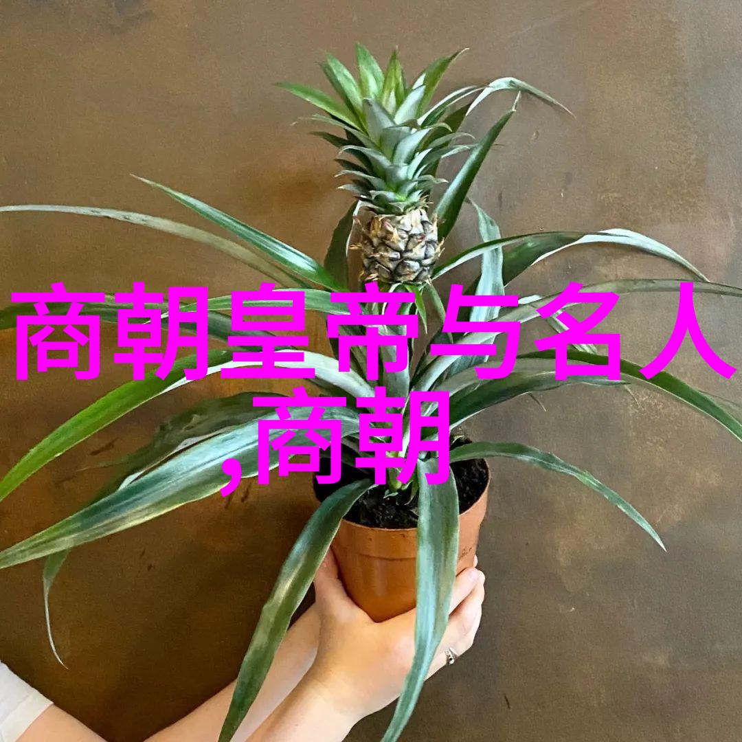 桂遇秋探索黄梅戏经典唱段100首的历史与文化之谜
