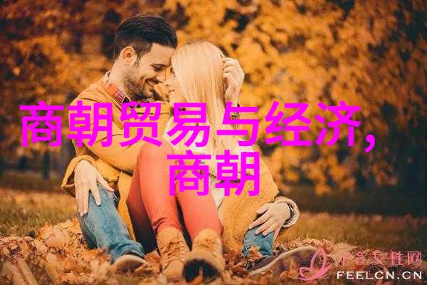 宋代史料-宋史文献探究从经卷到碑文的历史印迹