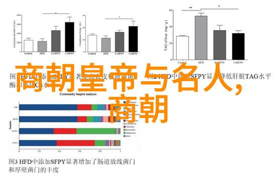 明朝朱允炆下落真相梦断紫禁城的孤臣之谜