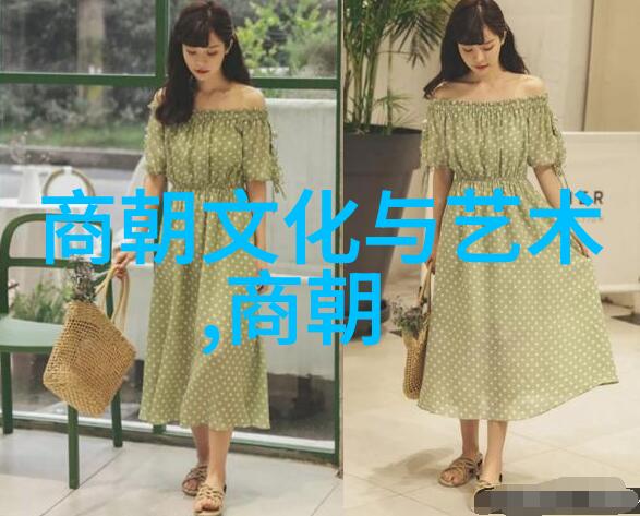 大明之衰落与清风元朝帝王史话评书