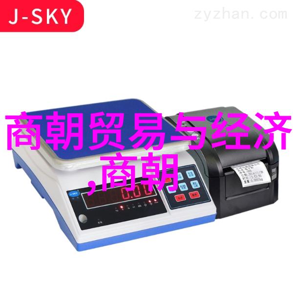 王佩瑜红透中国数据解析背后的演绎力