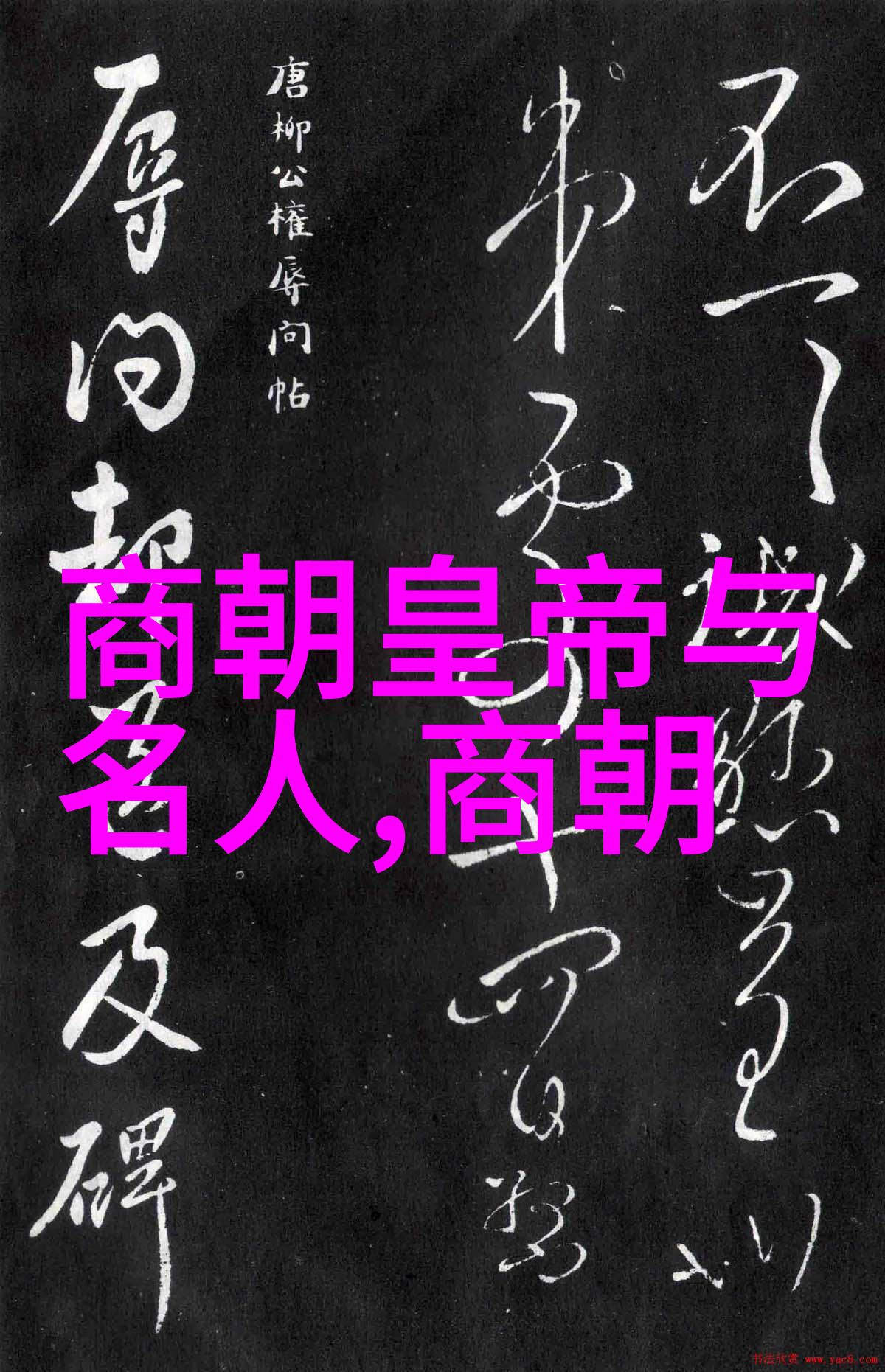 宋朝研究中的专家共鸣背后的历史因素与学术动机探究