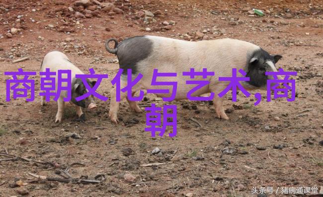 明清历代帝王龙椅上的霸业与文化辉煌