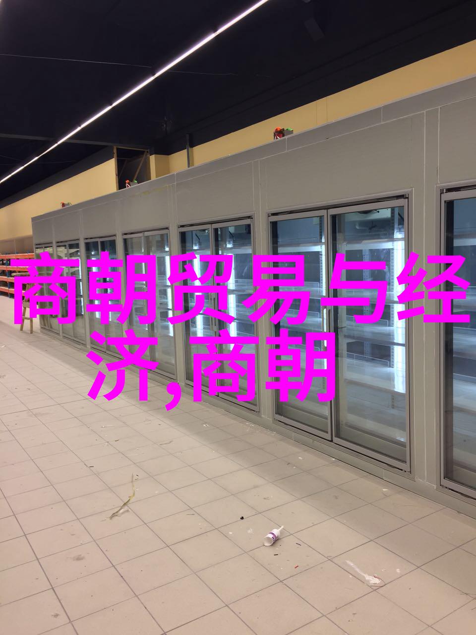宋朝开国之光赵匡胤与李新民历史的交响篇章