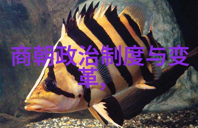 元朝千年辉煌从忽必烈到顺帝的历史探索