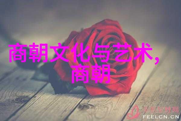 明朝盛世的英杰们庆功阁二十四功臣的光辉篇章