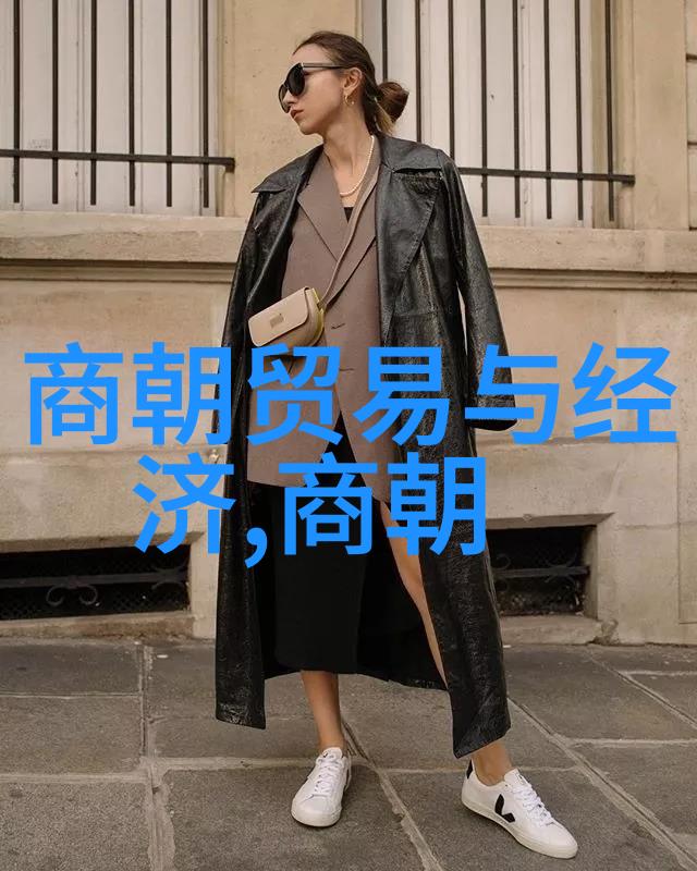 明朝 排名顺序 - 明代官员爵位系统与其在历史上的重要性探究