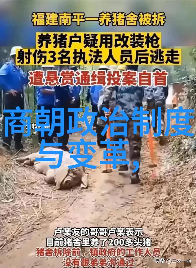 红衣小童与灰蒙蒙的森林