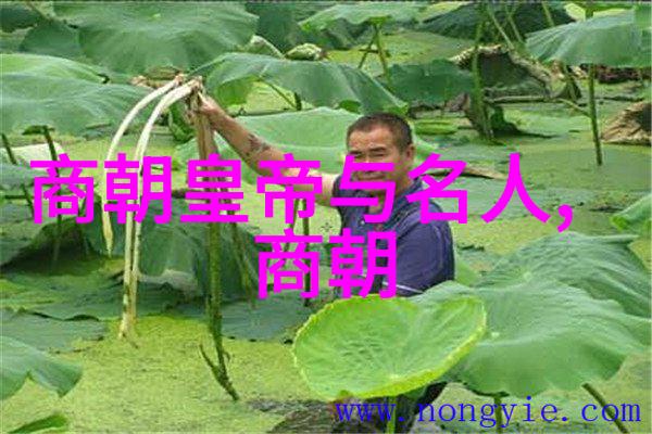 商朝皇帝与名人的秘密龙吉公主与洪锦的奇遇